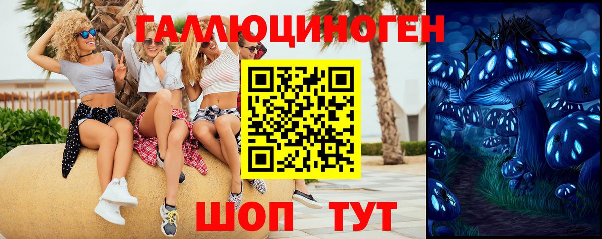 Галлюциногенные грибы MAGIC MUSHROOMS  Вход с VPN  Топки 